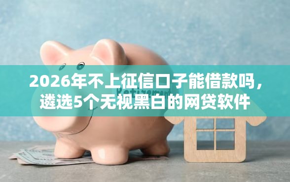 2026年不上征信口子能借款吗，遴选5个无视黑白的网贷软件
