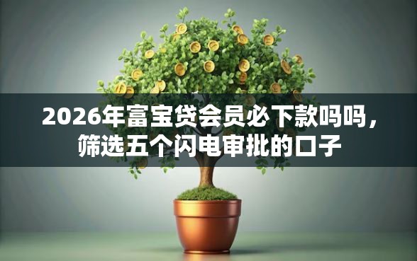 2026年富宝贷会员必下款吗吗,筛选五个闪电审批的口子 2026年富宝贷会员必下款吗吗,筛选五个闪电审批的口子