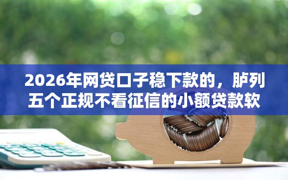 2026年网贷口子稳下款的，胪列五个正规不看征信的小额贷款软件