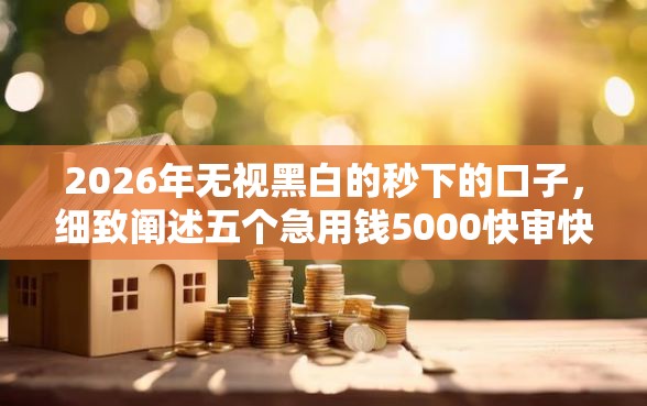 2026年无视黑白的秒下的口子，细致阐述五个急用钱5000快审快贷无需征信软件