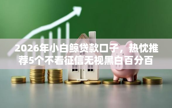 2026年小白鲸贷款口子，热忱推荐5个不看征信无视黑白百分百下款口子