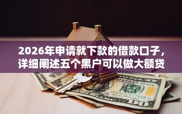2026年申请就下款的借款口子，详细阐述五个黑户可以做大额贷款平台