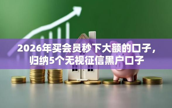 2026年买会员秒下大额的口子，归纳5个无视征信黑户口子