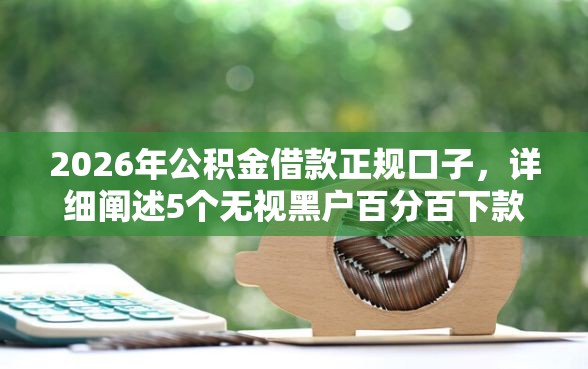 2026年公积金借款正规口子，详细阐述5个无视黑户百分百下款平台