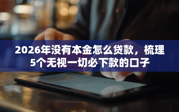 2026年没有本金怎么贷款，梳理5个无视一切必下款的口子