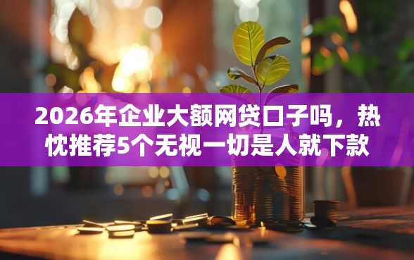 2026年企业大额网贷口子吗，热忱推荐5个无视一切是人就下款的口子