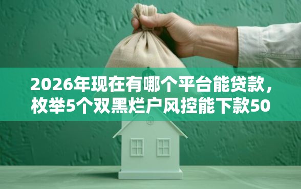 2026年现在有哪个平台能贷款，枚举5个双黑烂户风控能下款5000口子