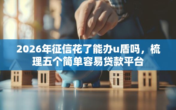 2026年征信花了能办u盾吗，梳理五个简单容易贷款平台