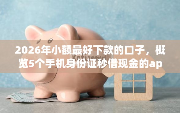 2026年小额最好下款的口子，概览5个手机身份证秒借现金的app