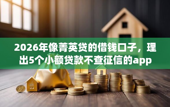 2026年像菁英贷的借钱口子，理出5个小额贷款不查征信的app