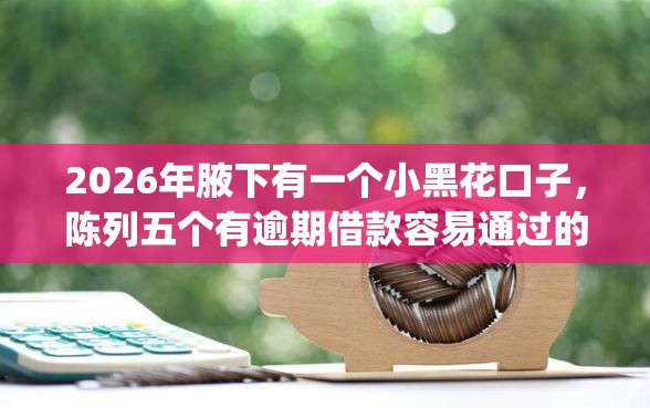 2026年腋下有一个小黑花口子，陈列五个有逾期借款容易通过的app