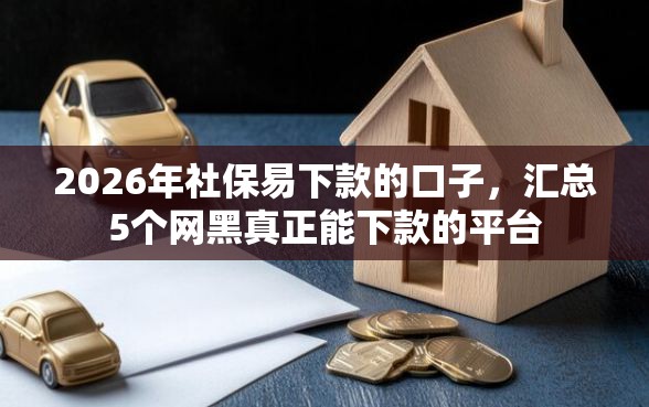 2026年社保易下款的口子，汇总5个网黑真正能下款的平台
