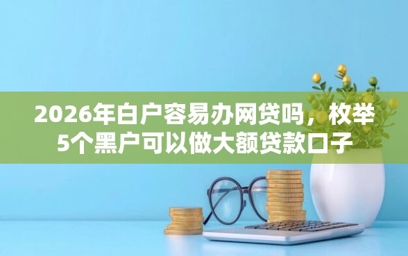 2026年白户容易办网贷吗，枚举5个黑户可以做大额贷款口子