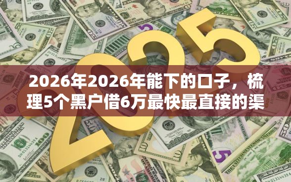 2026年2026年能下的口子，梳理5个黑户借6万最快最直接的渠道