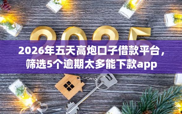 2026年五天高炮口子借款平台，筛选5个逾期太多能下款app