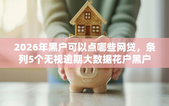 2026年黑户可以点哪些网贷，条列5个无视逾期大数据花户黑户软件