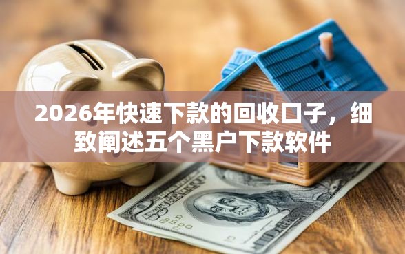 2026年快速下款的回收口子，细致阐述五个黑户下款软件