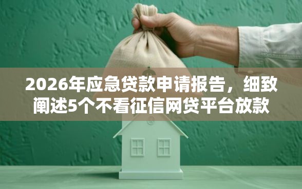 2026年应急贷款申请报告，细致阐述5个不看征信网贷平台放款快的软件
