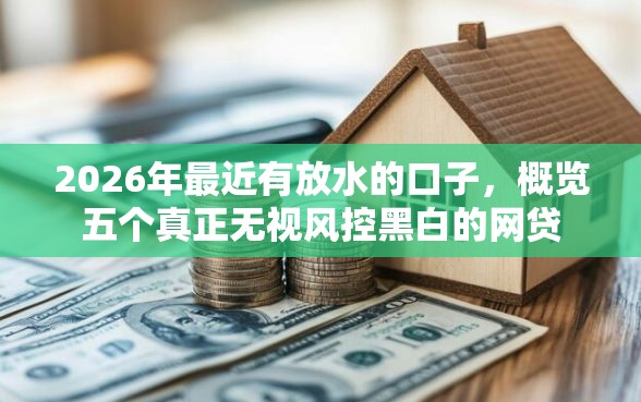 2026年最近有放水的口子，概览五个真正无视风控黑白的网贷