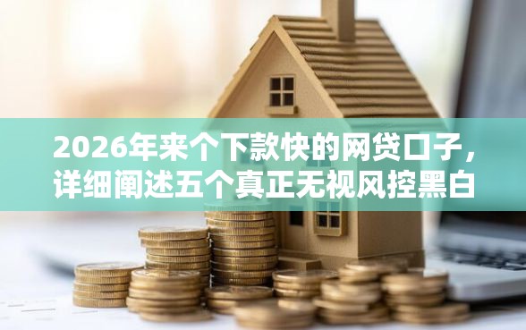 2026年来个下款快的网贷口子，详细阐述五个真正无视风控黑白的网贷平台