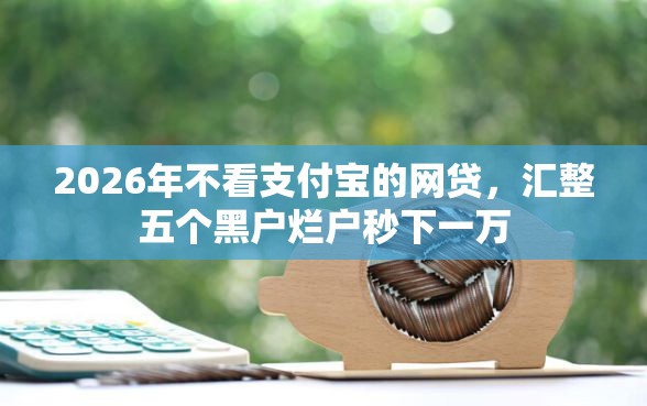 2026年不看支付宝的网贷，汇整五个黑户烂户秒下一万
