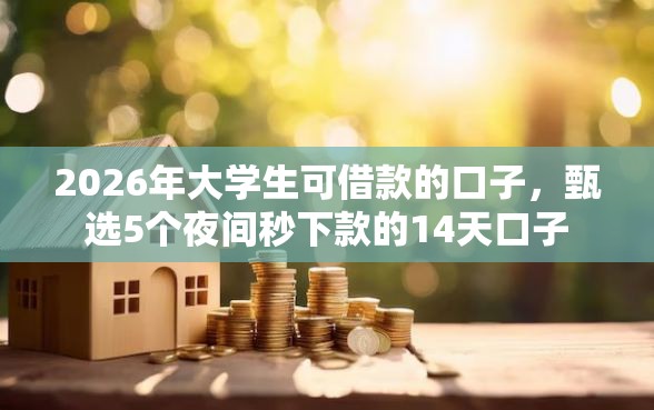 2026年大学生可借款的口子，甄选5个夜间秒下款的14天口子