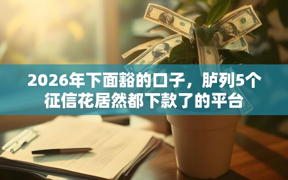 2026年下面豁的口子，胪列5个征信花居然都下款了的平台