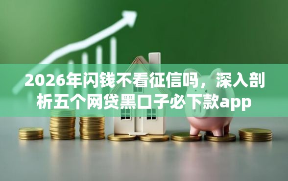 2026年闪钱不看征信吗，深入剖析五个网贷黑口子必下款app