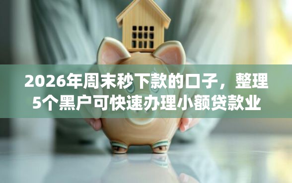 2026年周末秒下款的口子，整理5个黑户可快速办理小额贷款业务的app
