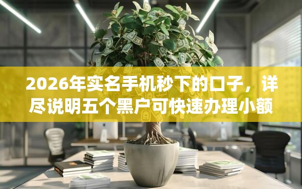 2026年实名手机秒下的口子，详尽说明五个黑户可快速办理小额贷款业务的app