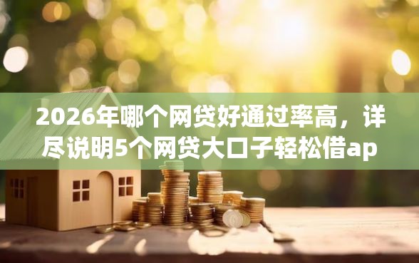 2026年哪个网贷好通过率高，详尽说明5个网贷大口子轻松借app