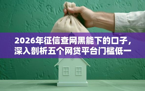 2026年征信查网黑能下的口子，深入剖析五个网贷平台门槛低一点的口子