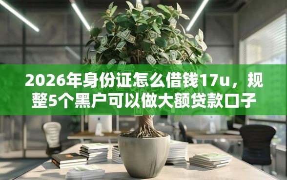 2026年身份证怎么借钱17u，规整5个黑户可以做大额贷款口子