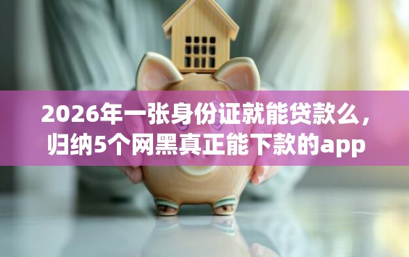 2026年一张身份证就能贷款么，归纳5个网黑真正能下款的app