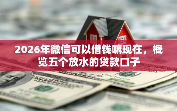 2026年微信可以借钱嘛现在，概览五个放水的贷款口子