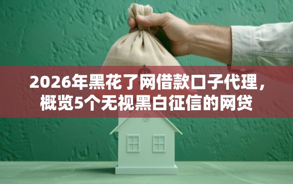 2026年黑花了网借款口子代理，概览5个无视黑白征信的网贷
