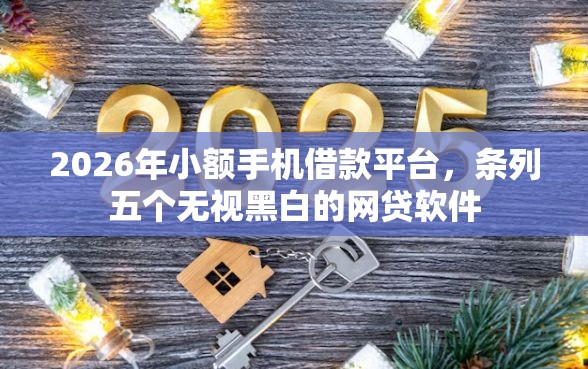 2026年小额手机借款平台，条列五个无视黑白的网贷软件