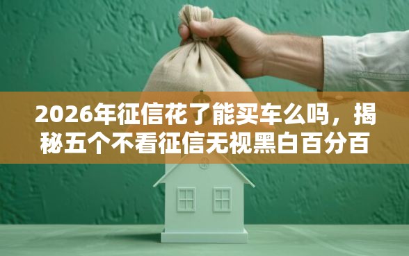 2026年征信花了能买车么吗，揭秘五个不看征信无视黑白百分百下款软件