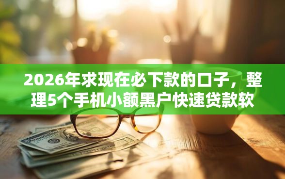 2026年求现在必下款的口子，整理5个手机小额黑户快速贷款软件