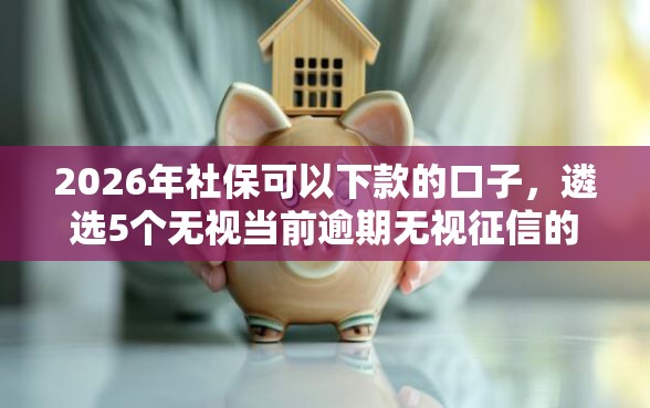 2026年社保可以下款的口子，遴选5个无视当前逾期无视征信的借款口子
