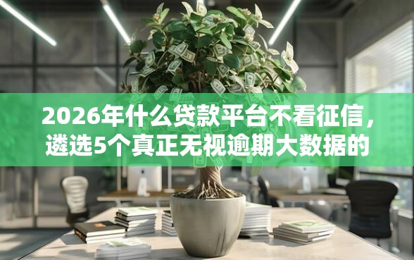 2026年什么贷款平台不看征信，遴选5个真正无视逾期大数据的网贷平台