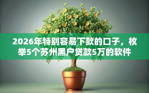 2026年特别容易下款的口子，枚举5个苏州黑户贷款5万的软件
