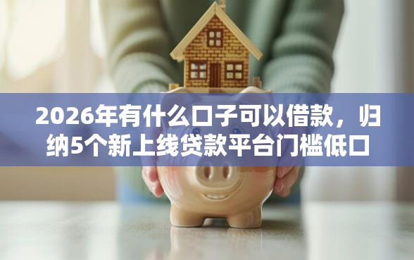 2026年有什么口子可以借款，归纳5个新上线贷款平台门槛低口子