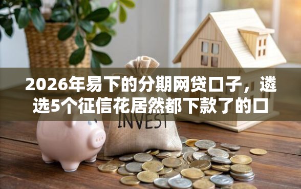 2026年易下的分期网贷口子，遴选5个征信花居然都下款了的口子