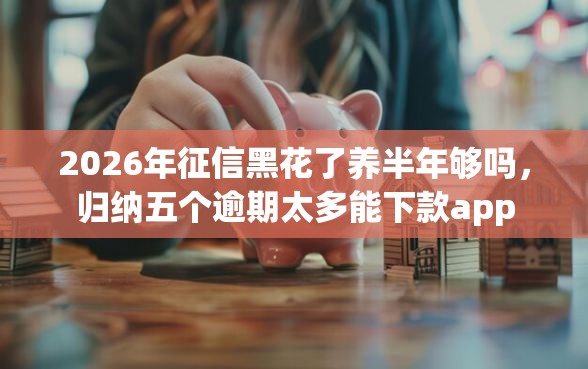 2026年征信黑花了养半年够吗，归纳五个逾期太多能下款app