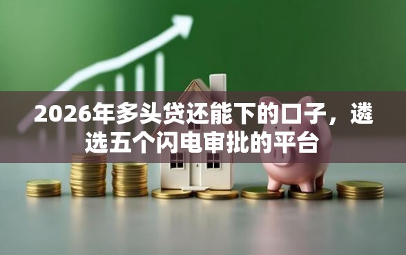 2026年多头贷还能下的口子，遴选五个闪电审批的平台