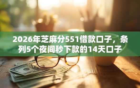 2026年芝麻分551借款口子，条列5个夜间秒下款的14天口子
