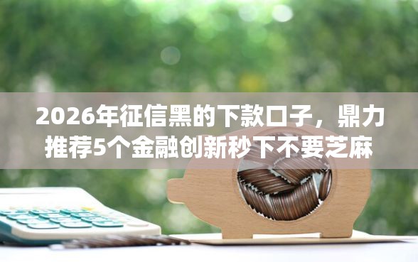 2026年征信黑的下款口子，鼎力推荐5个金融创新秒下不要芝麻分的app