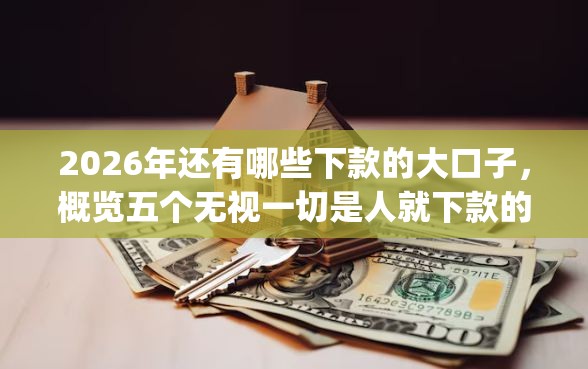 2026年还有哪些下款的大口子，概览五个无视一切是人就下款的app