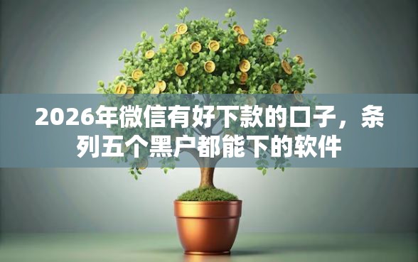 2026年微信有好下款的口子，条列五个黑户都能下的软件